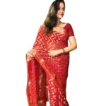 Vadhu 1 Saree