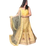 Zardozi Buit Lehenga