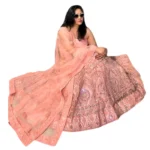 Mirror Striped Lehenga